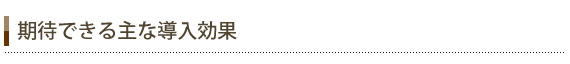 期待できる主な導入効果