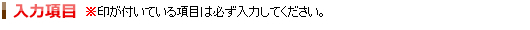 入力項目　※印がついている項目は必ず入力してください。